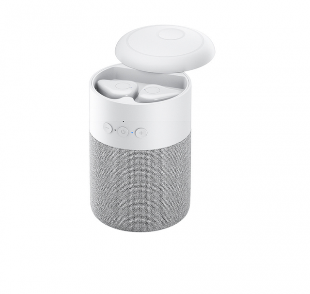 2 in 1 Bluetooth speaker with earbuds