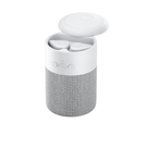 2 in 1 Bluetooth speaker with earbuds